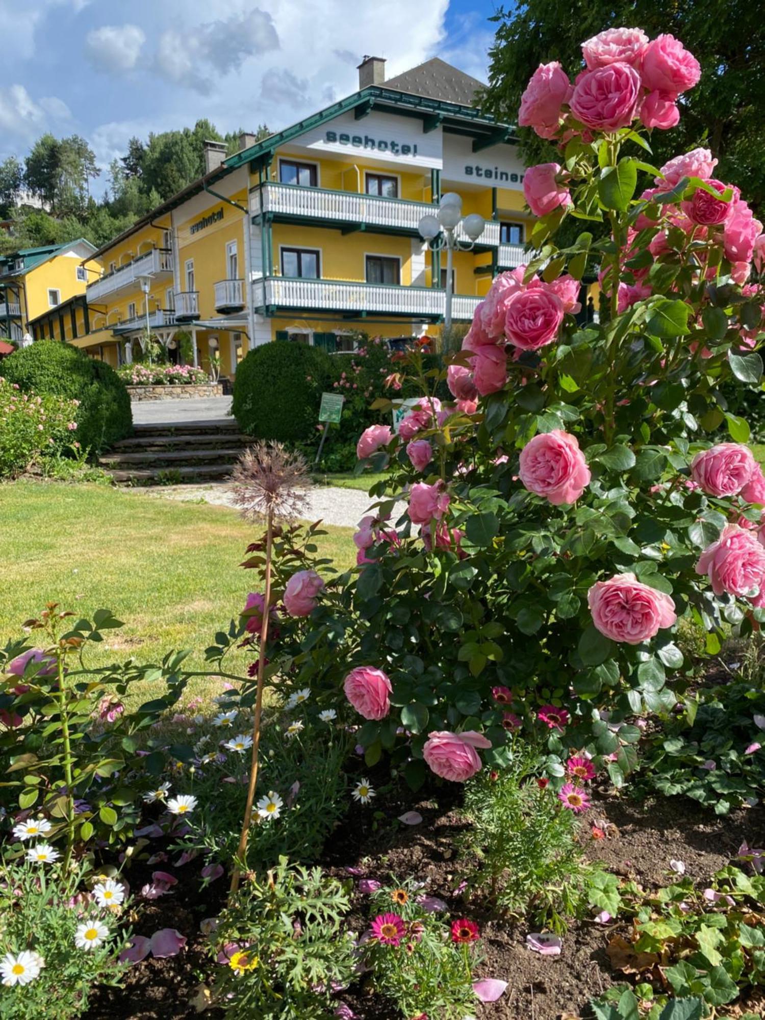 Seehotel Steiner Seeboden Εξωτερικό φωτογραφία